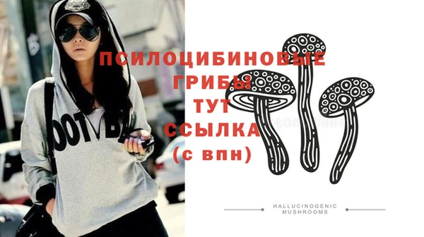 ешки Белоозёрский